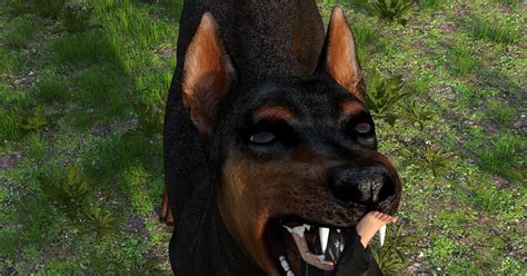 doberman vore